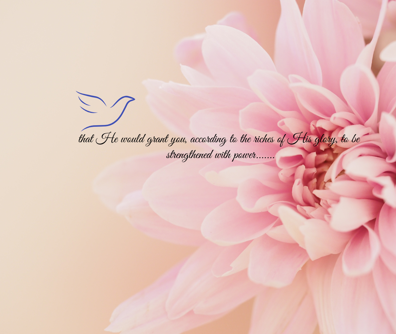 The Holy Spirit: Revealing God’s Will for Obedience