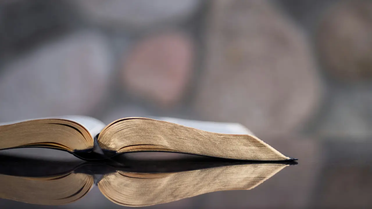 Christian Obedience: What It Means for a Believer